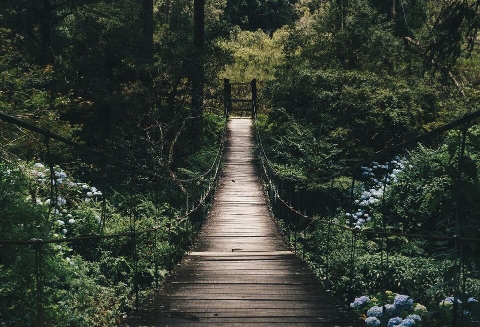 First Time in Therapy: Finding My Way Through ADHD and Grief