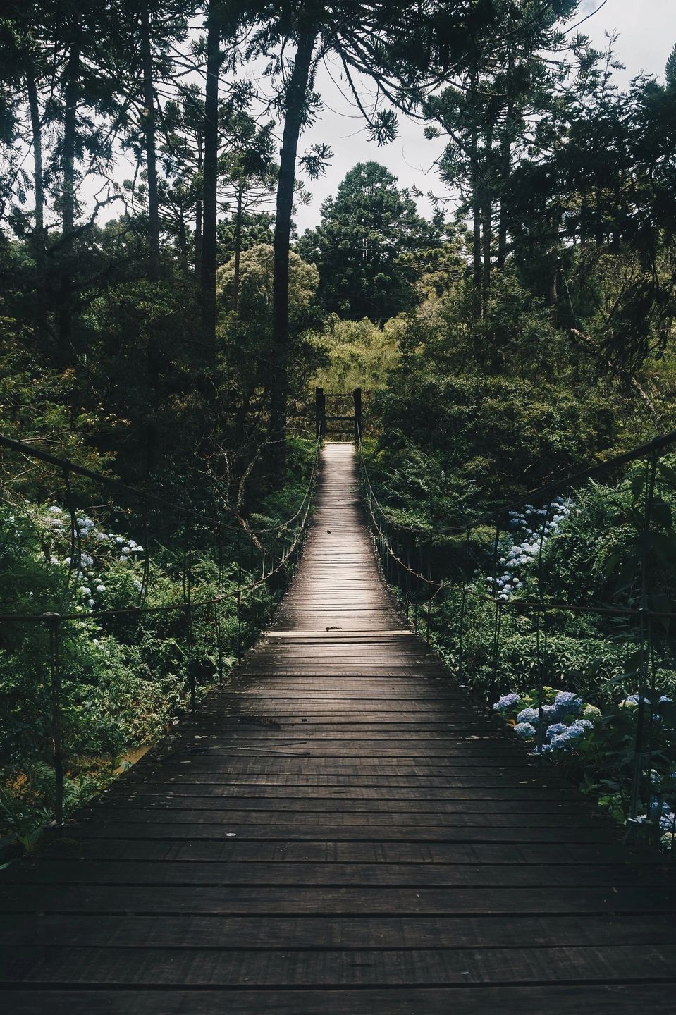 Walking along a quiet path, symbolizing the start of a healing journey through therapy.